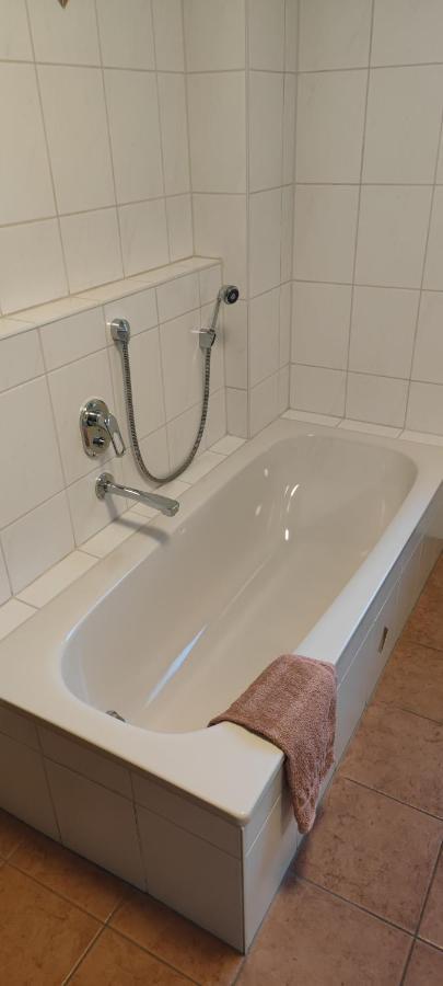 Ferienwohnung Zwischen Rhein Und Schwarzwald Bischweier Ngoại thất bức ảnh