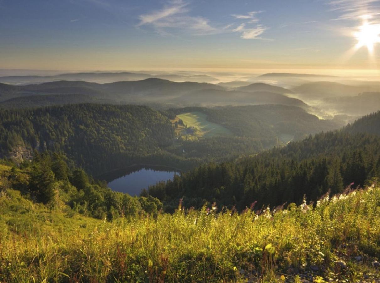 Ferienwohnung Zwischen Rhein Und Schwarzwald Bischweier Ngoại thất bức ảnh